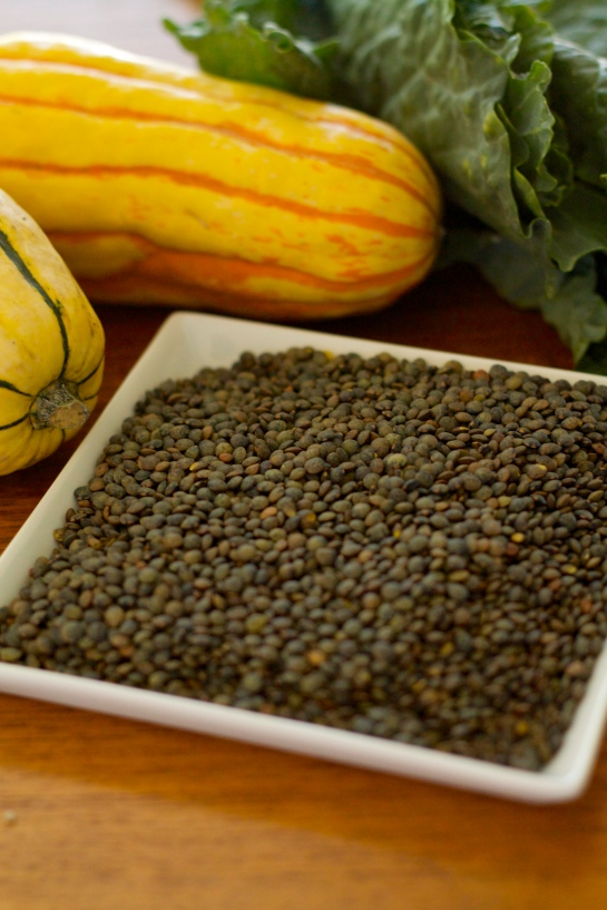 Curried Lentils and Squash