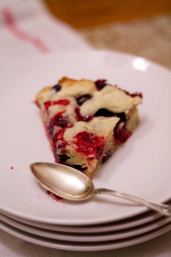 Cranberry Blueberry Cake | Kitchen Notes